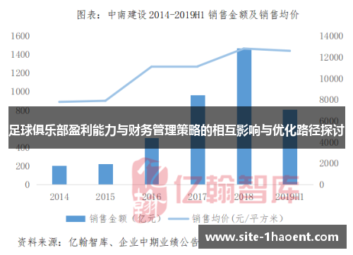 足球俱乐部盈利能力与财务管理策略的相互影响与优化路径探讨
