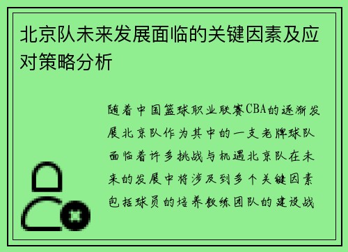 北京队未来发展面临的关键因素及应对策略分析