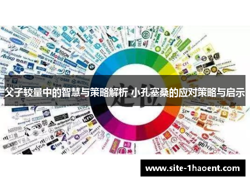 父子较量中的智慧与策略解析 小孔塞桑的应对策略与启示