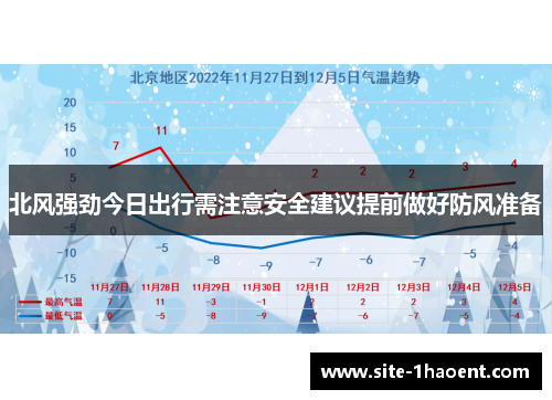 北风强劲今日出行需注意安全建议提前做好防风准备
