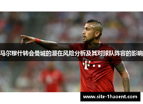 马尔穆什转会曼城的潜在风险分析及其对球队阵容的影响