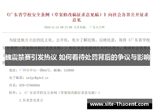 魏震禁赛引发热议 如何看待处罚背后的争议与影响