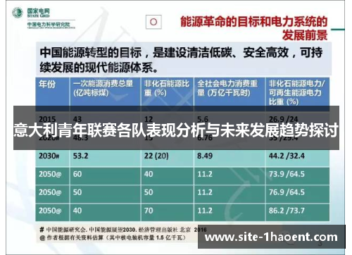 意大利青年联赛各队表现分析与未来发展趋势探讨 意大利青年联赛各队表现分析与未来发展趋势探讨