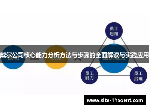 戴尔公司核心能力分析方法与步骤的全面解读与实践应用 戴尔公司核心能力分析方法与步骤的全面解读与实践应用