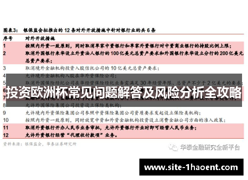 投资欧洲杯常见问题解答及风险分析全攻略 投资欧洲杯常见问题解答及风险分析全攻略