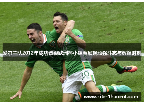爱尔兰队2012年成功晋级欧洲杯小组赛展现顽强斗志与辉煌时刻 爱尔兰队2012年成功晋级欧洲杯小组赛展现顽强斗志与辉煌时刻