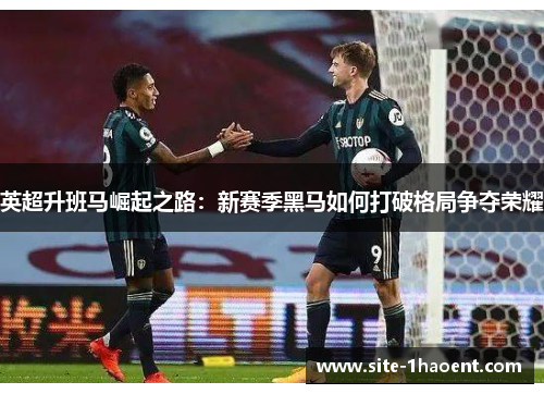 英超升班马崛起之路:新赛季黑马如何打破格局争夺荣耀 英超升班马崛起之路:新赛季黑马如何打破格局争夺荣耀