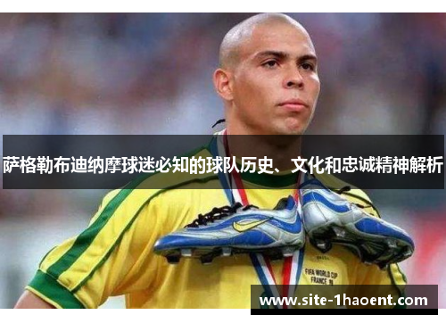 萨格勒布迪纳摩球迷必知的球队历史、文化和忠诚精神解析