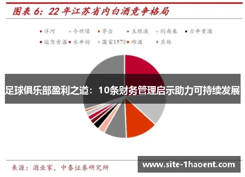 足球俱乐部盈利之道：10条财务管理启示助力可持续发展