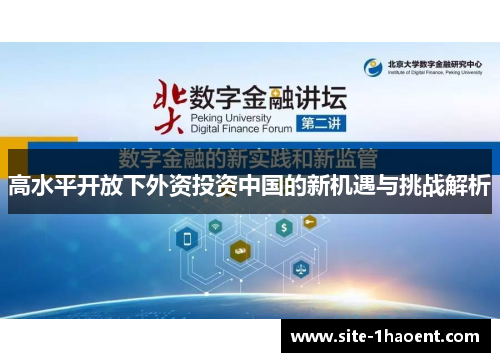 高水平开放下外资投资中国的新机遇与挑战解析 高水平开放下外资投资中国的新机遇与挑战解析